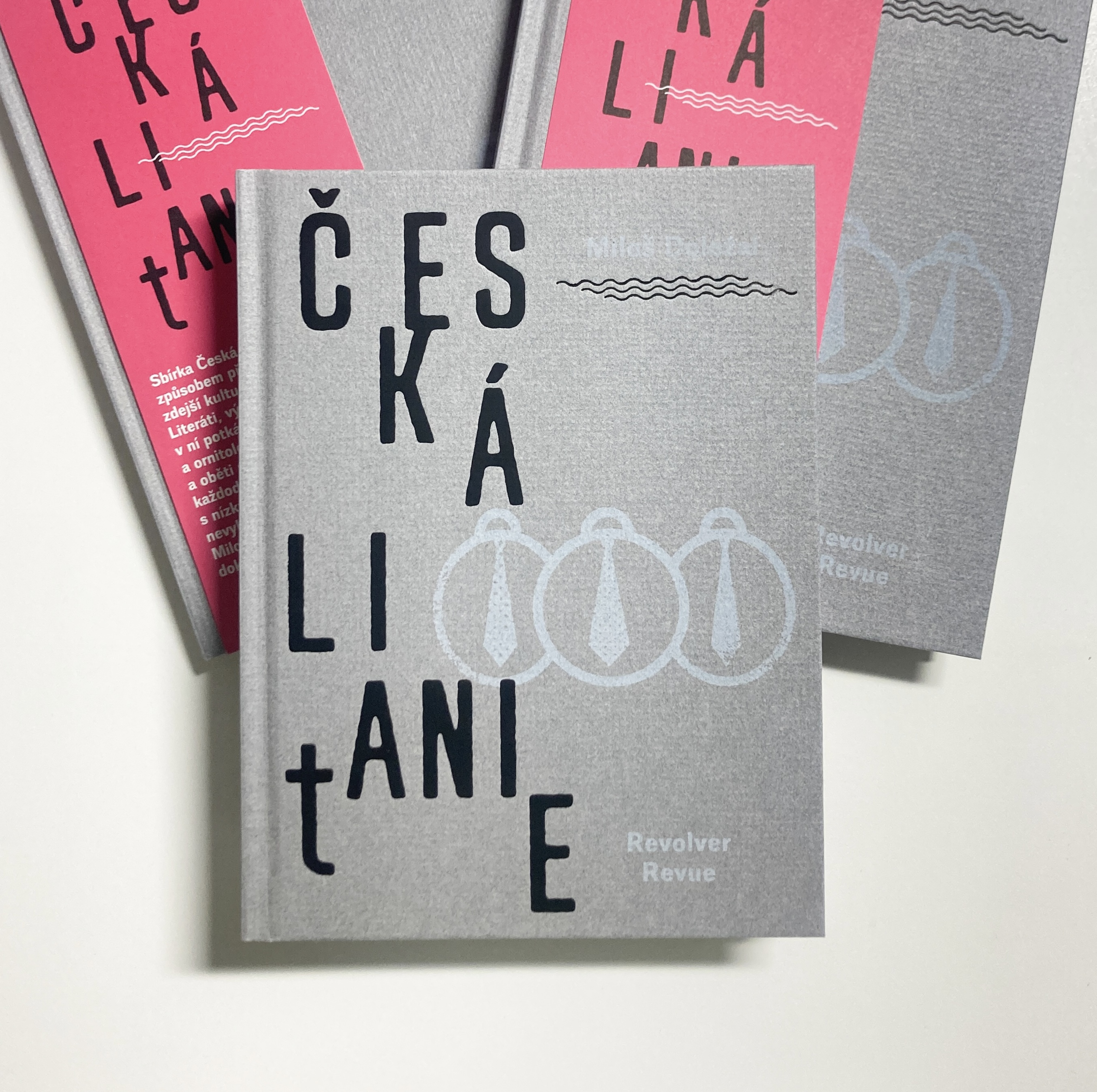 Obrázek: img-1109