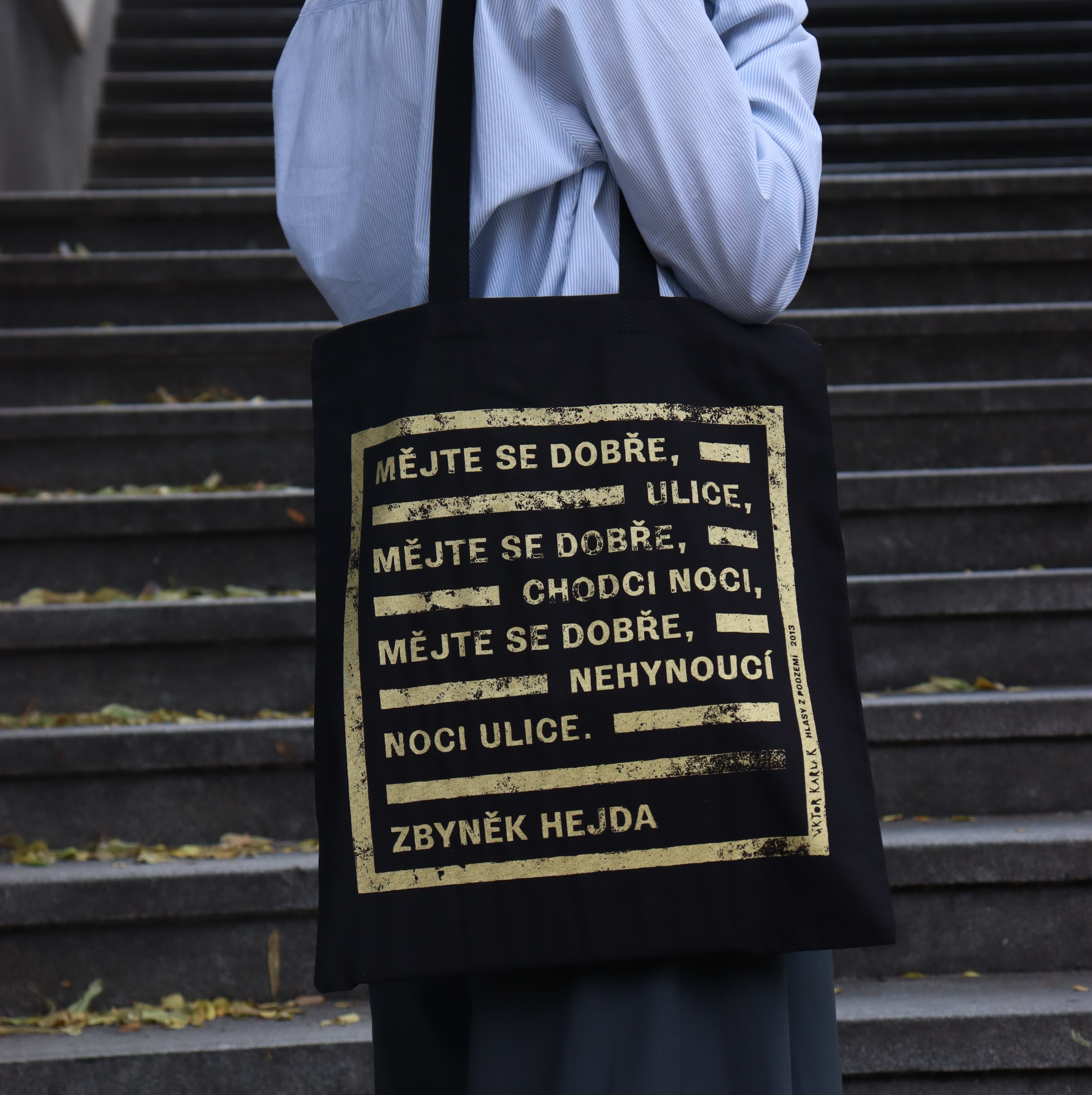 Obrázek: img-1315