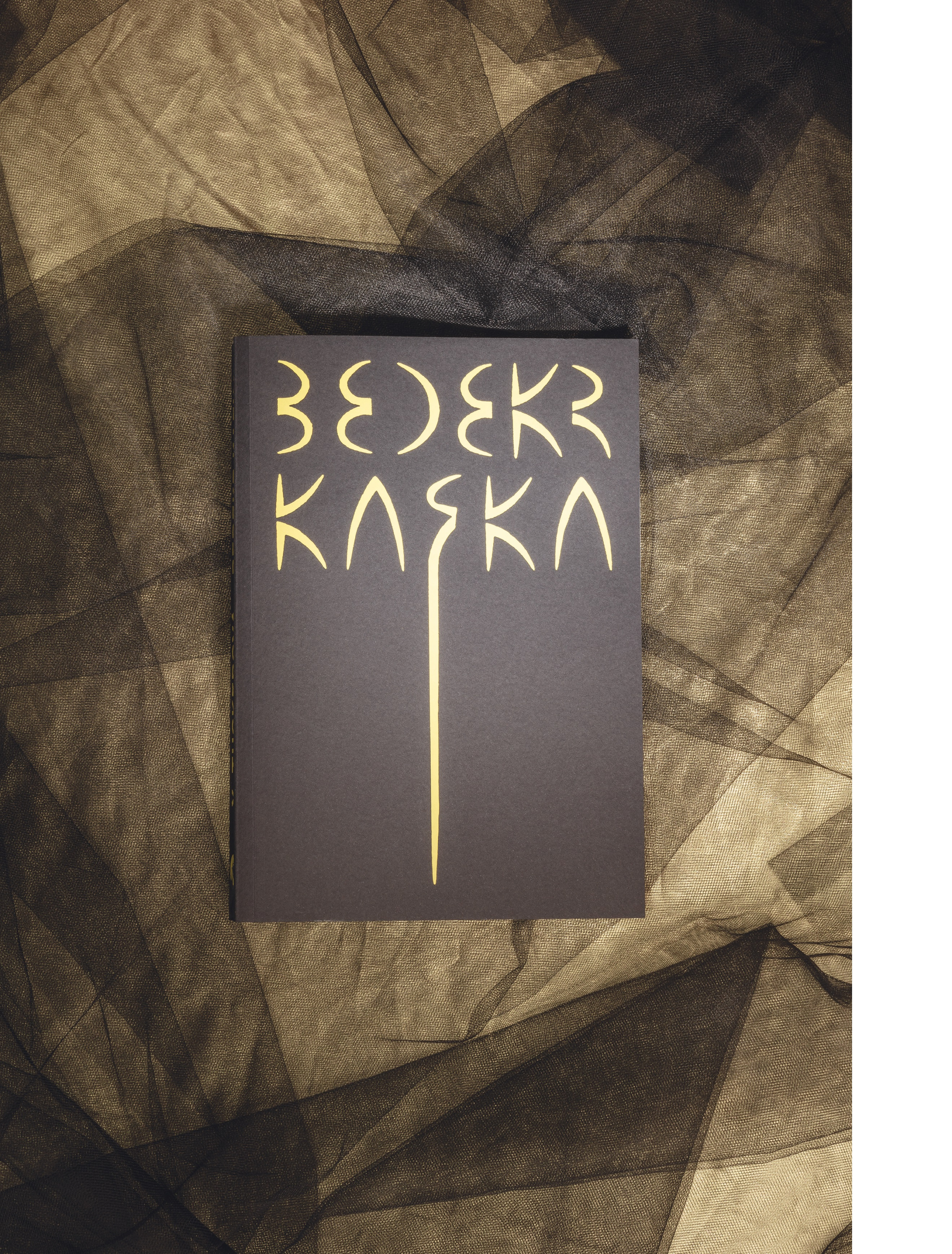 Obrázek: bedekr